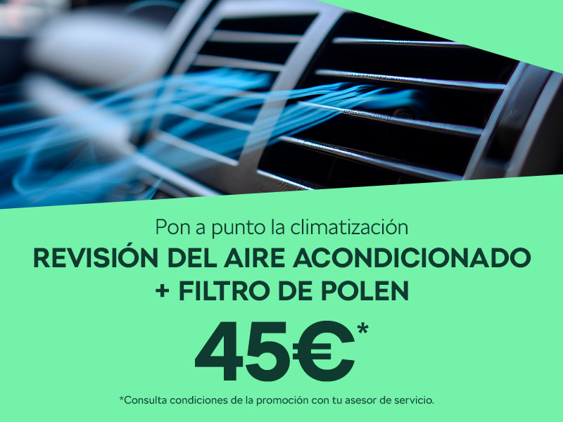 Revisión del aire acondicionado + filtro de polen por 45€ en Škoda AMS Conde
