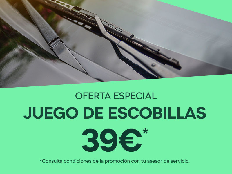 Cambia tus escobillas limpiaparabrisas por 39 € en AMS Conde